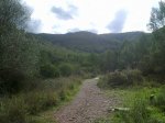 081120121033 - copia.jpg