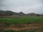 IMG_8623.JPG