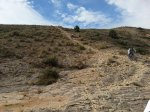 20121103_110528.jpg
