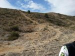 20121103_110532.jpg