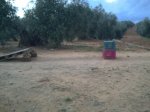PICT0008.JPG