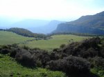 DSC02237_2.jpg
