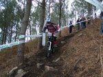 m_100_1493.jpg