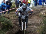 m_100_1544.jpg