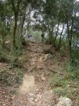 PICT8804comprimida.JPG