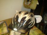 casco.JPG