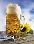 19_still_masskrug_397_medium.jpg