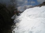 IMG_1701.JPG