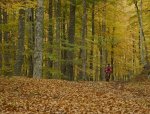 natural  park00.jpg