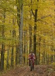 natural  park00_2.jpg