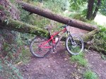2012-09-28 14.30.36.jpg