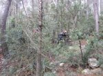 DSC01850.JPG