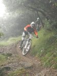 Ruta del Cister 020copia.jpg