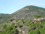 CIMG3251 (Copiar).JPG