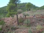 CIMG3275 (Copiar).JPG