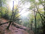 DSCN0754.JPG