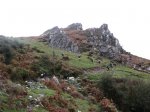 IMG_3733.JPG