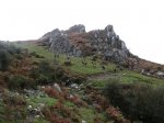 IMG_3735.JPG