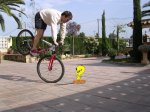 piolin.jpg