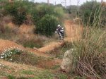 DSCF5695.JPG