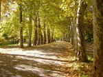 Oto&#241;o 1.jpg