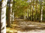 Oto&#241;o 2.jpg