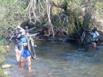 IMG_20121111_120803.jpg