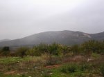 Foto0466_800x600.jpg