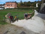 20121107_124512.jpg
