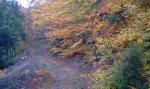 IMAG0439.jpg