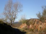 PB100007.JPG