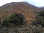 Copia de P111112_10.30.jpg