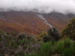Copia de P111112_10.30_[02].jpg