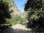 IMG_1475.JPG