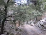 IMG_1476.JPG