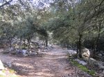 IMG_1477.JPG