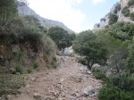 IMG_1482.JPG