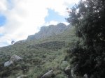 IMG_1485.JPG