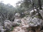 IMG_1500.JPG