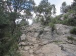 IMG_1501.JPG