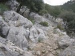 IMG_1503.JPG