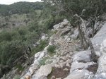 IMG_1504.JPG