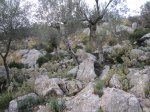 IMG_1505.JPG