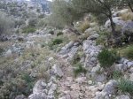 IMG_1506.JPG