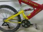 gary fisher joshua z0