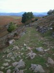 rps20121110_175130.jpg