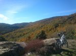 DSC_0157.jpg