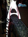 olimpia_carbon.jpg
