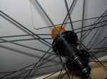 DSCN4780.JPG
