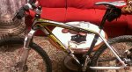 IMAG0233-1-1.jpg